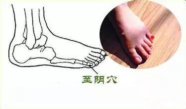 чжи-инь v. цигун система меридианов схема. чжи инь. фэй ян точка акупунктурная. чжи-инь v.